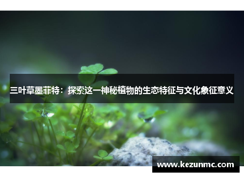 三叶草墨菲特：探索这一神秘植物的生态特征与文化象征意义